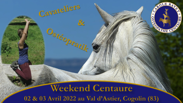 Weekend 100% Centaure