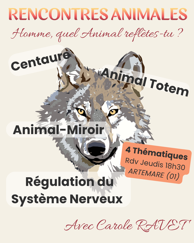 Rencontres Animales